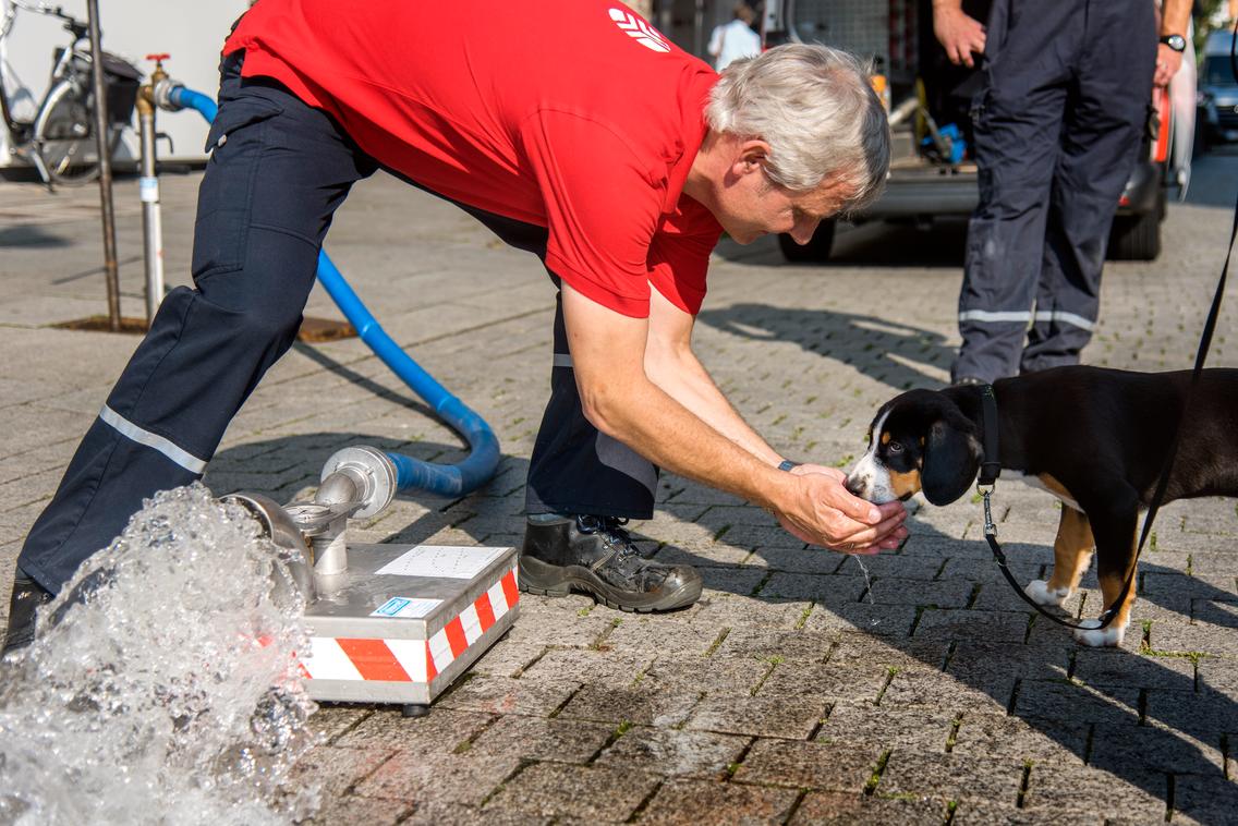 Mitarbeiter gibt einem Hund Wasser zum Trinken